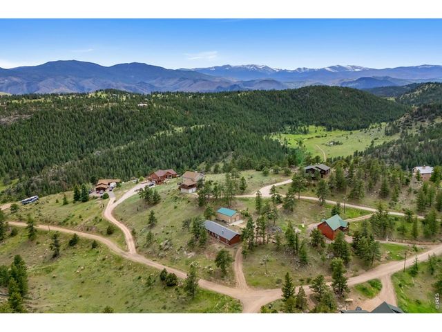 39 Mount Sherman Ct, Livermore, CO 80536
