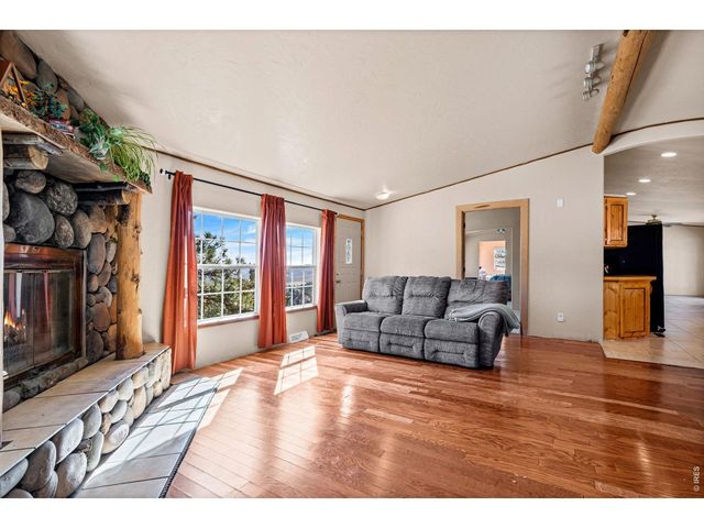 39 Mount Sherman Ct, Livermore, CO 80536