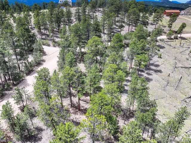 54 Holmes Gulch Road, Bailey, CO 80421