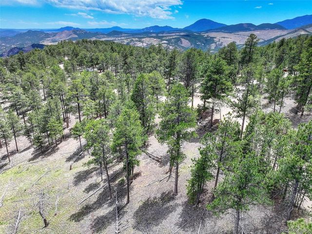 54 Holmes Gulch Road, Bailey, CO 80421