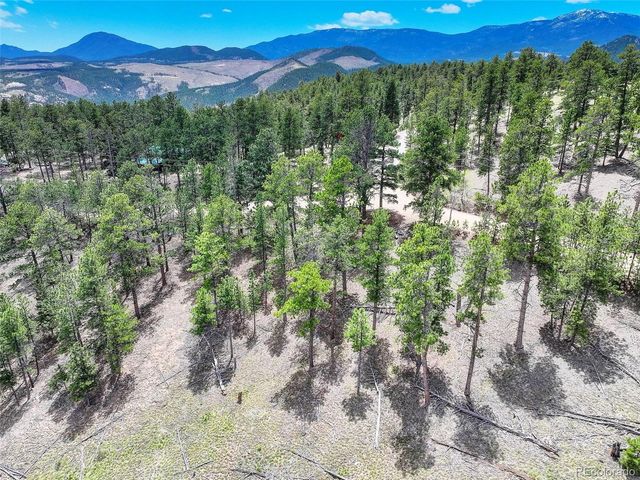 54 Holmes Gulch Road, Bailey, CO 80421