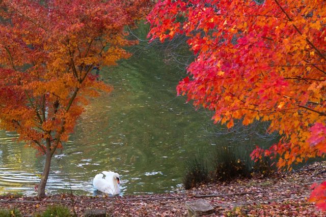 18730 Canyon Rd, Sonoma, CA 95476