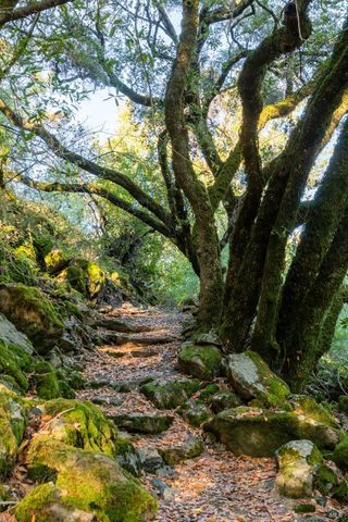 18730 Canyon Rd, Sonoma, CA 95476