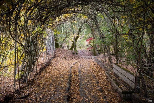 18730 Canyon Rd, Sonoma, CA 95476