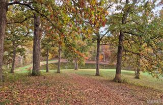 0 Highway D (15+/- Acres) Tract 11, Eolia, MO 63344