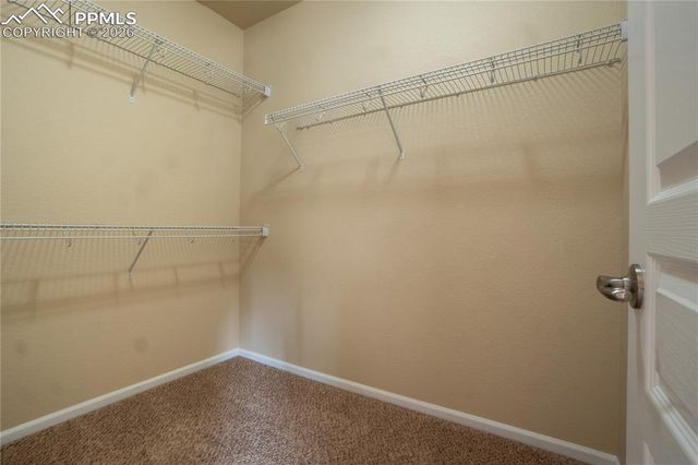 5604 Saint Patrick View, Colorado Springs, CO 80923