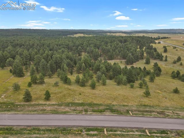 10385 Alamar Way, Colorado Springs, CO 80908