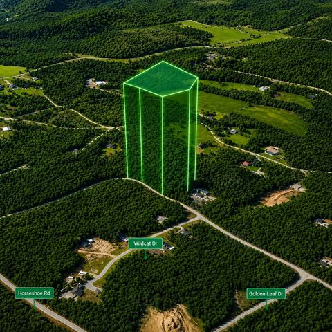 00 Pine Woods Drive, Blairsville, GA 30512