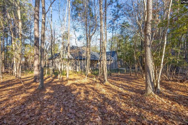 154 Pebblebranch Drive, Chapin, SC 29036