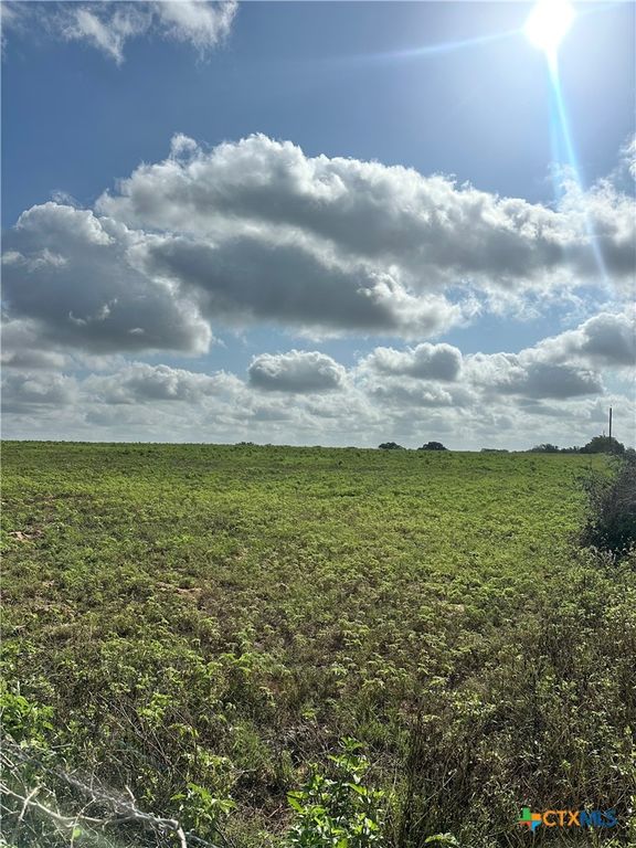 Image 4 of property listing at TBD US Highway 77S, Hallettsville, TX 77964