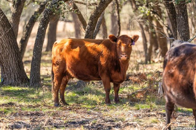 4772-1 County Road 340, Burnet, TX 76905