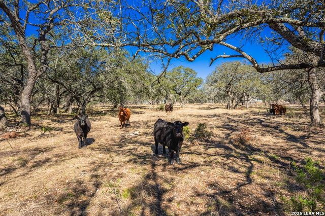 4772-1 County Road 340, Burnet, TX 76905