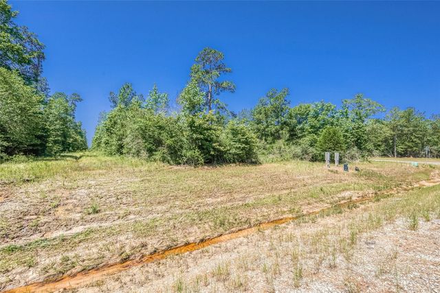123 Gypsum Road, Willis, TX 77378