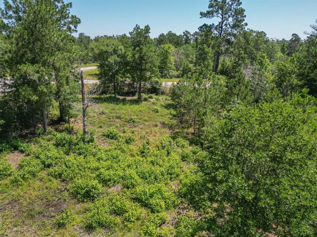 123 Gypsum Road, Willis, TX 77378