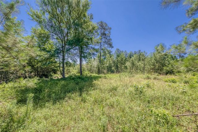 123 Gypsum Road, Willis, TX 77378