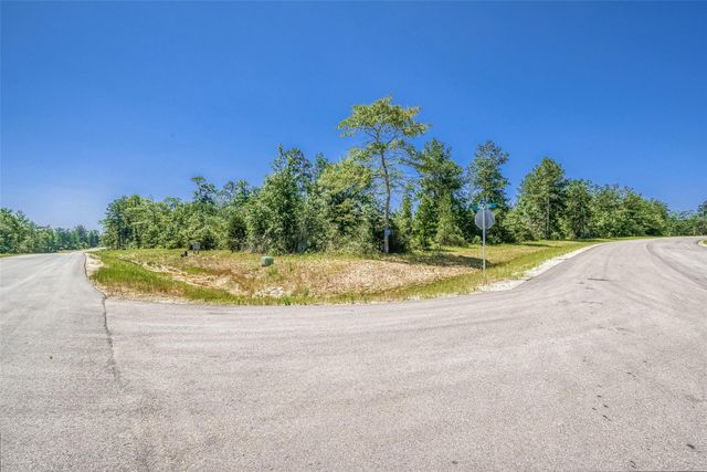 123 Gypsum Road, Willis, TX 77378