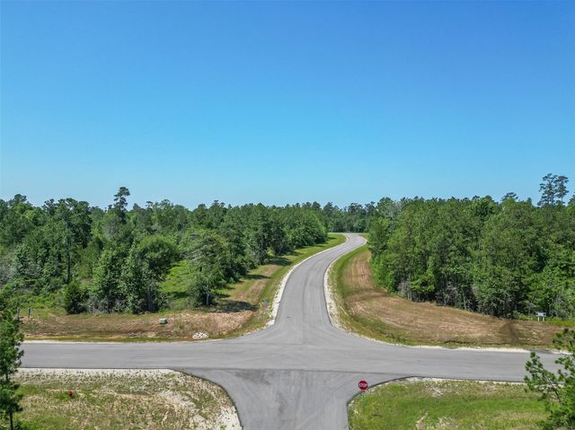 123 Gypsum Road, Willis, TX 77378