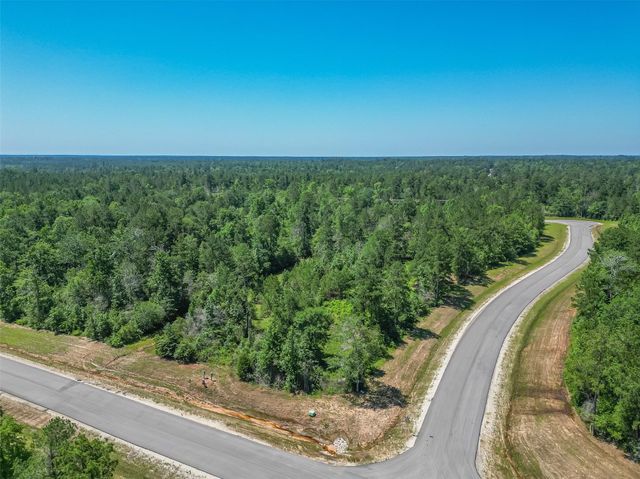123 Gypsum Road, Willis, TX 77378