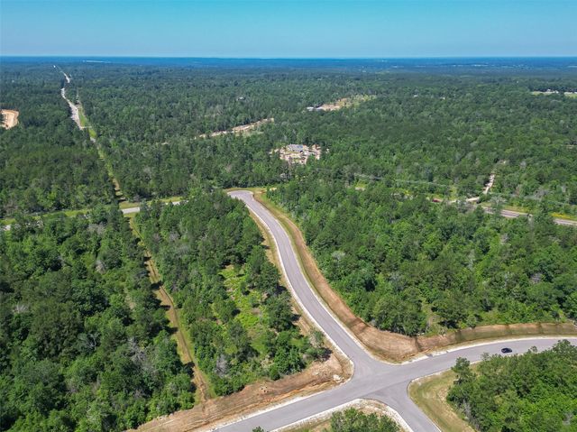 123 Gypsum Road, Willis, TX 77378