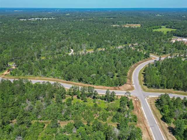 123 Gypsum Road, Willis, TX 77378