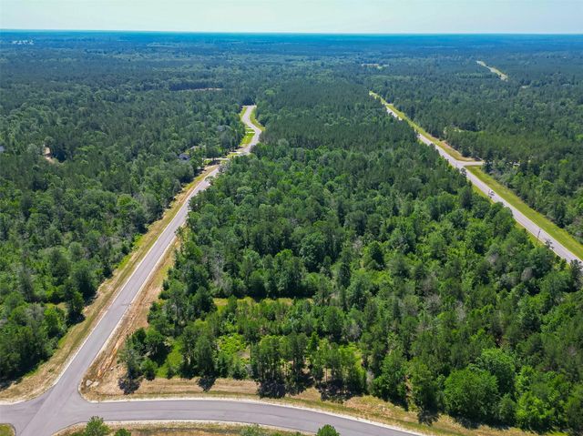 123 Gypsum Road, Willis, TX 77378