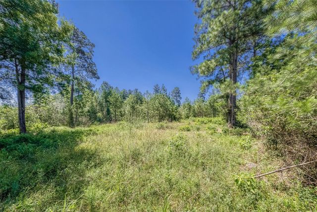 123 Gypsum Road, Willis, TX 77378