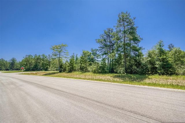 123 Gypsum Road, Willis, TX 77378