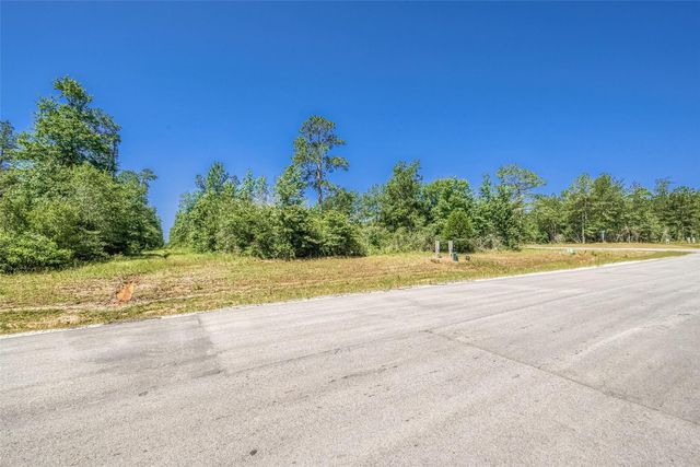 123 Gypsum Road, Willis, TX 77378