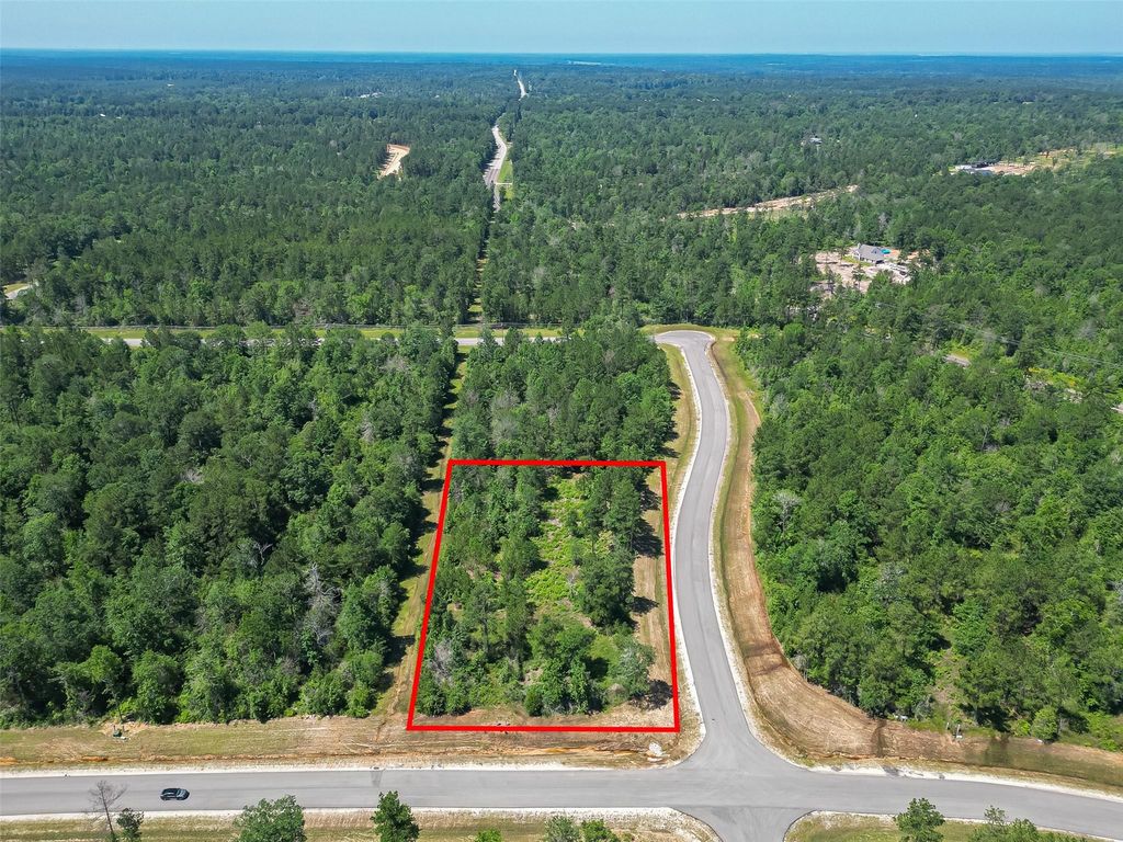 123 Gypsum Road, Willis, TX 77378