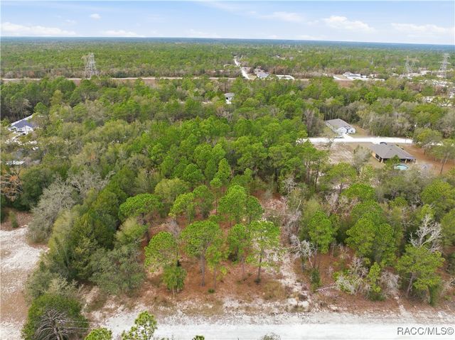 13409 Cormorant Road, Weeki Wachee, FL 34614