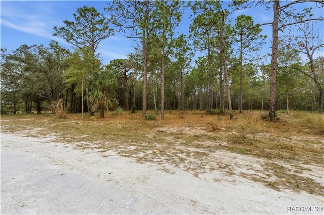 13409 Cormorant Road, Weeki Wachee, FL 34614