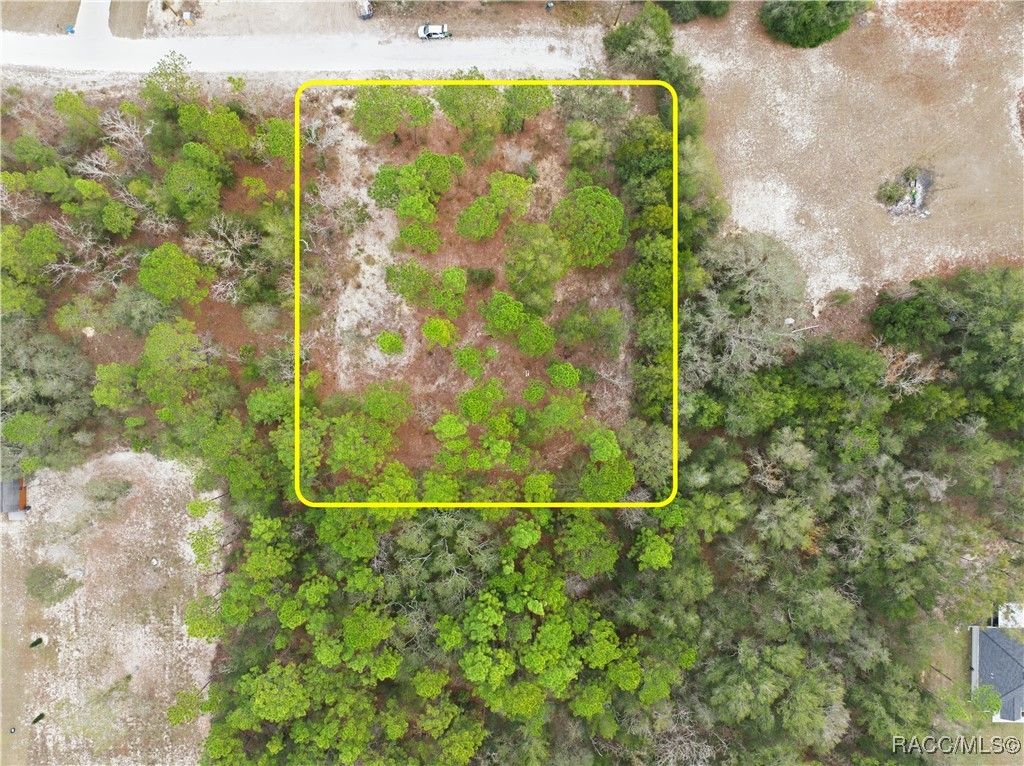 13409 Cormorant Road, Weeki Wachee, FL 34614