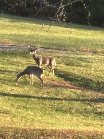 5946 SE Tater Peeler Rd, Lebanon, TN 37090