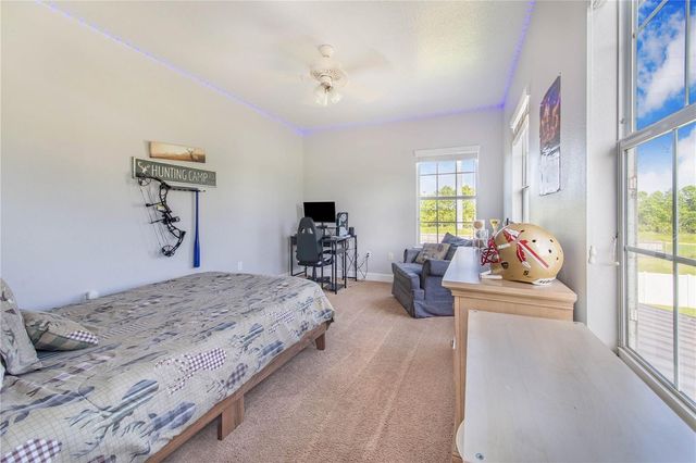 6631 LAKE HATCHINEHA ROAD, Haines City, FL 33844