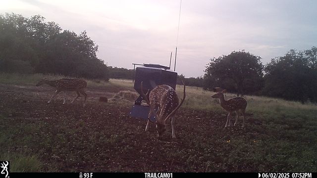 252 El Rincon Road, Mountain Home, TX 78058