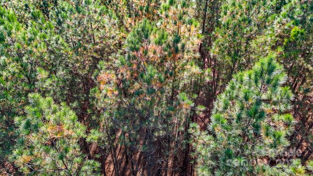 132 Whispering Pines Lane 63, Mooresboro, NC 28114