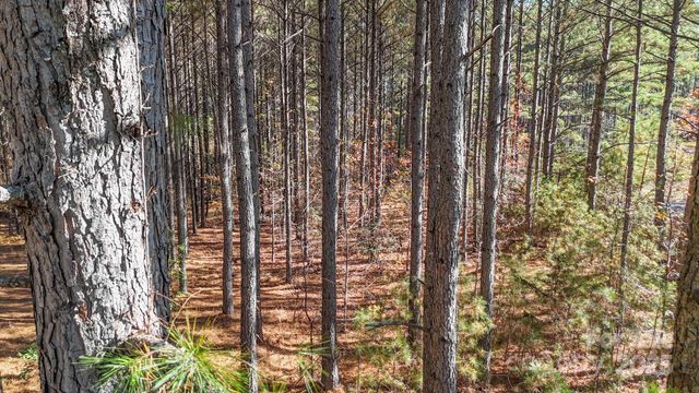 132 Whispering Pines Lane 63, Mooresboro, NC 28114