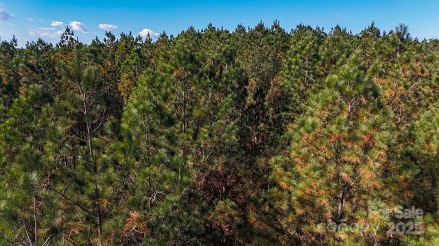 132 Whispering Pines Lane 63, Mooresboro, NC 28114