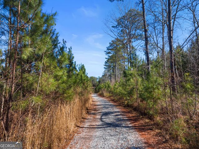 700 GA Hwy 87, Flovilla, GA 30216