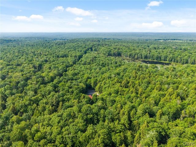 9831 Steam Mill Road, Camden, NY 13316