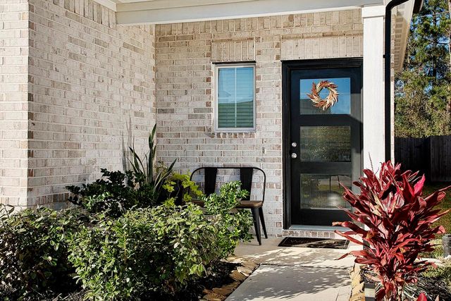 56 Ashe Juniper Way, Magnolia, TX 77354