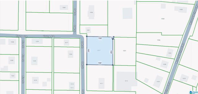 1027 OAK STREET, Birmingham, AL 35224