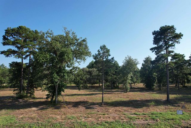 3145 Shadow Pine Dr, Larue, TX 75770