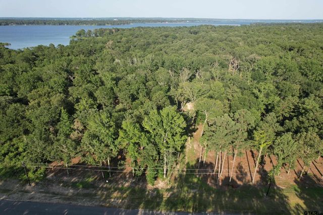 3145 Shadow Pine Dr, Larue, TX 75770