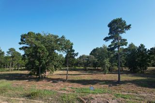 3145 Shadow Pine Dr, Larue, TX 75770