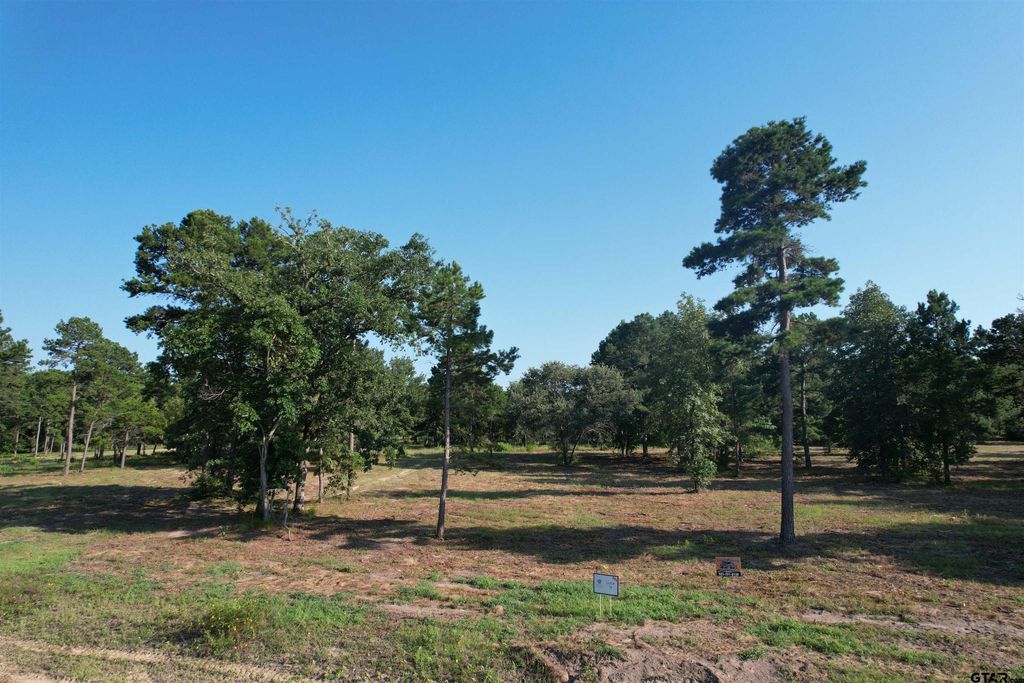3145 Shadow Pine Dr, Larue, TX 75770