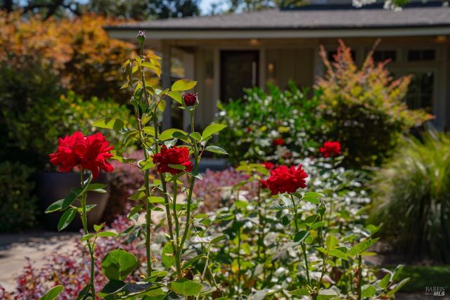 1551 Spring St, St. Helena, CA 94574