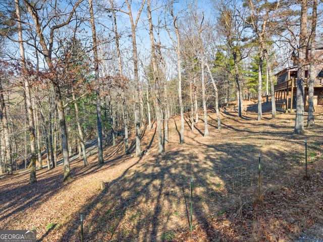 234 Old Indian Trail, Blue Ridge, GA 30513