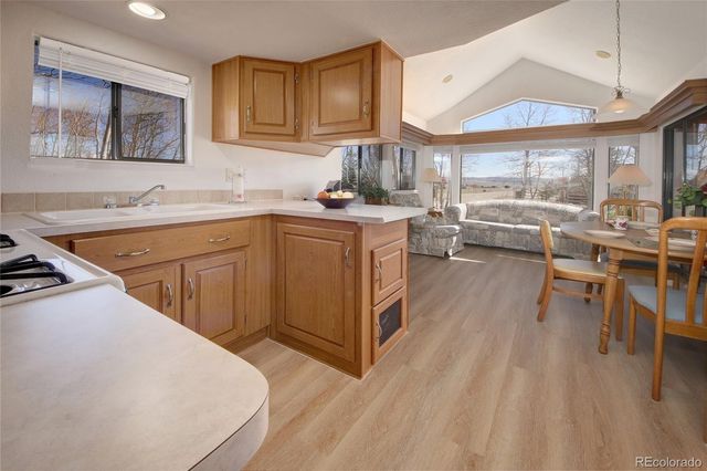 65 Sunshine Loop, Fairplay, CO 80440