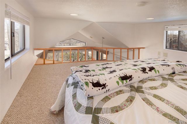 65 Sunshine Loop, Fairplay, CO 80440